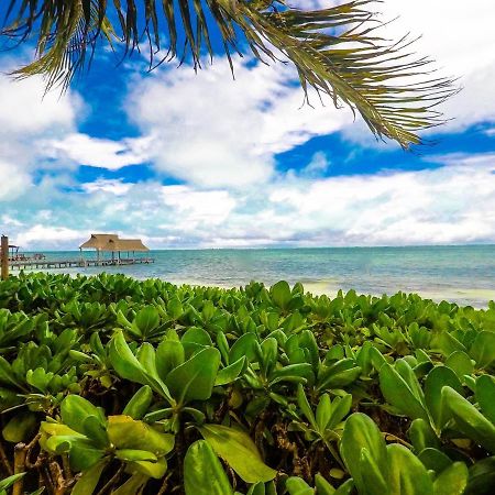 Punta Me Beach Suites 칸쿤 외부 사진