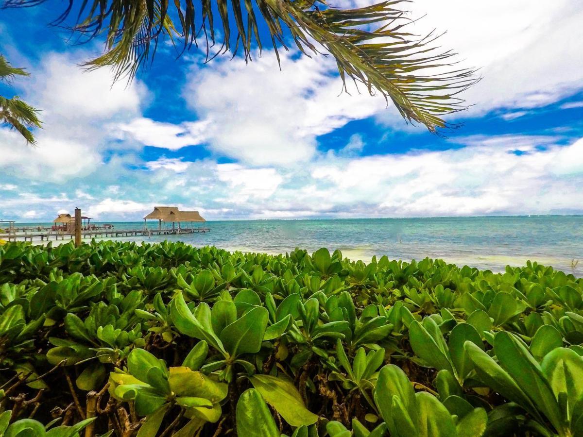 Punta Me Beach Suites 칸쿤 외부 사진