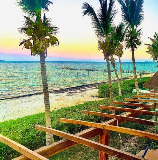 Punta Me Beach Suites 칸쿤 외부 사진