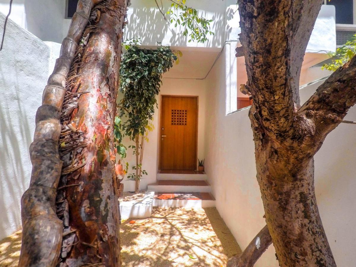 Punta Me Beach Suites 칸쿤 외부 사진
